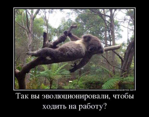 Демотиваторы 02.09.2014