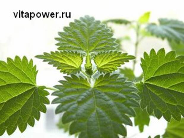 лечение простатита, мужское здоровье