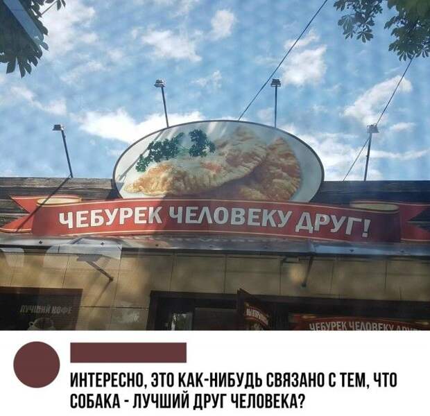 kartinok-prikolnyh-podborka-kartinki-smeshnye-kartinki-fotoprikoly