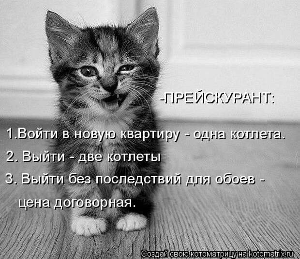 Котоматрица: -ПРЕЙСКУРАНТ:  1.Войти в новую квартиру - одна котлета. 2. Выйти - две котлеты 3. Выйти без последствий для обоев - цена договорная.