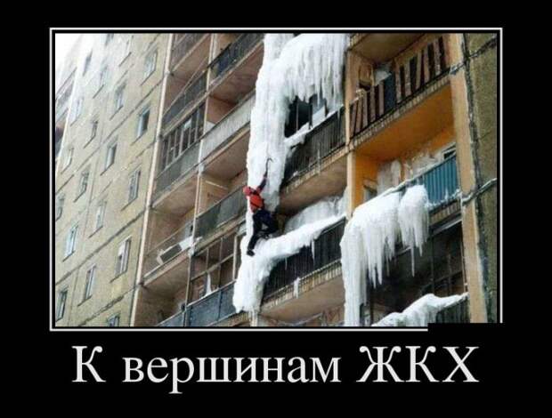 Демотиваторы (30 фото)