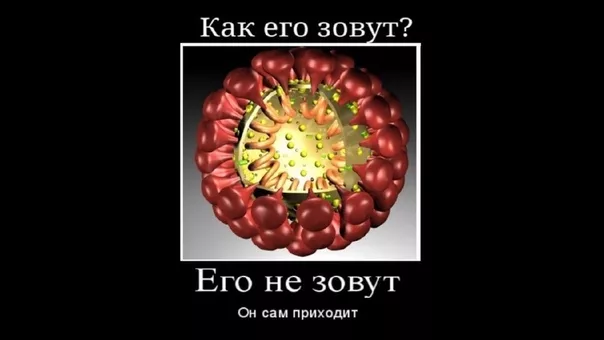 Демотиваторы про коронавирус с надписями. Подборка chert-poberi-dem-koronavirus-chert-poberi-dem-koronavirus-36320614122020-18 картинка chert-poberi-dem-koronavirus-36320614122020-18