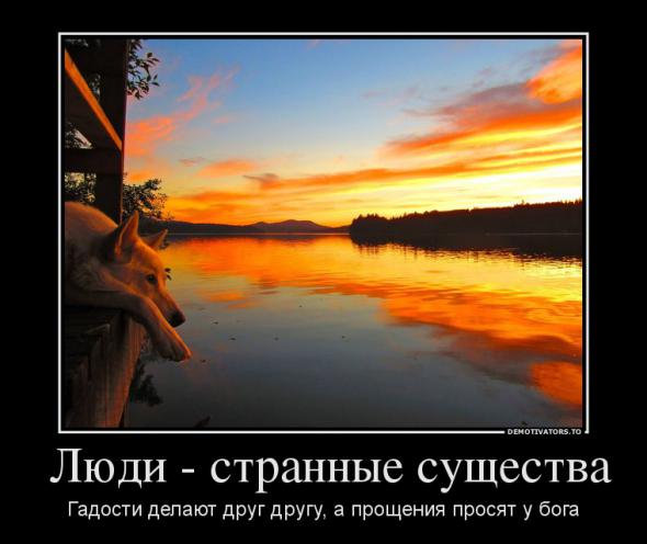Немного новых демотиваторв