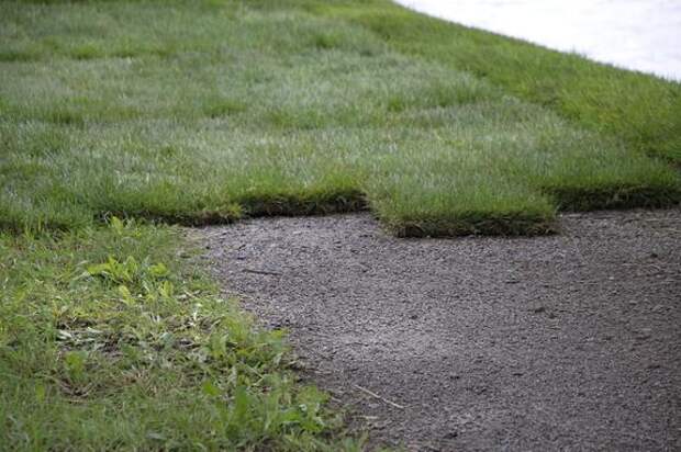 В Кронверкском округе за год благоустроили скверы и отремонтировали дворы