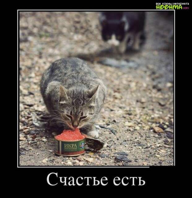 Веселые демотиваторы