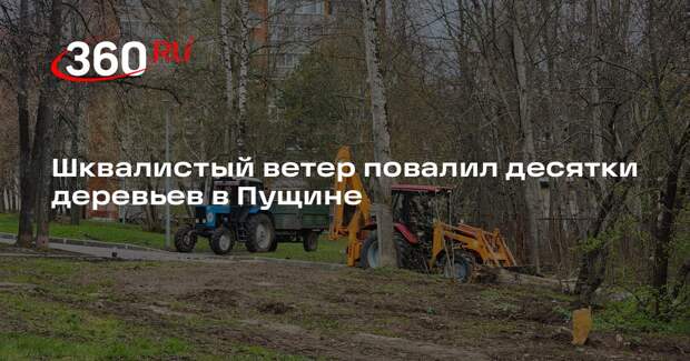 Шквалистый ветер повалил десятки деревьев в Пущине