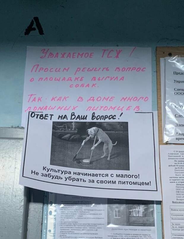 Креативный подход тоже имеет место быть Креативный подход тоже имеет место быть записка, объявление, подъезд, прикол, соседи, юмор