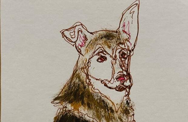 Московские художники создали пасхальные открытки для собак из приюта