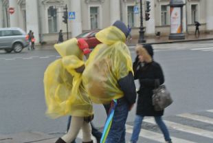 Спасатели предупреждают петербуржцев о сильном ветре