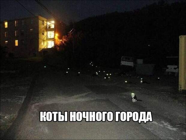 Смешные картинки с надписями Смешные картинки с надписями прикол, юмор