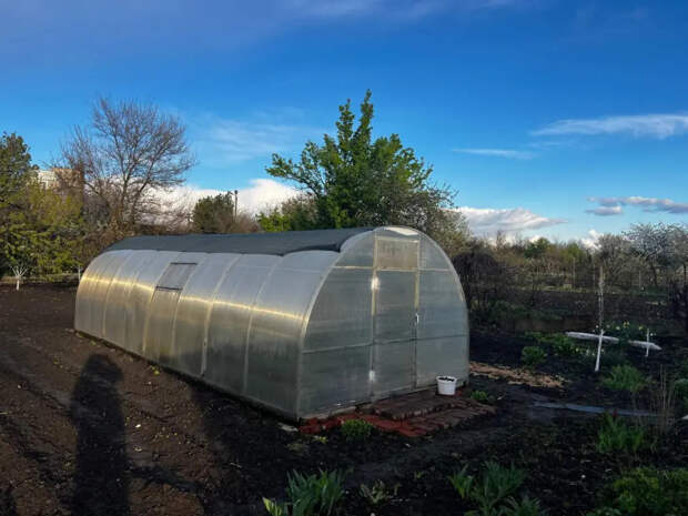 Поликарбонат в прошлом: нашла материал для теплицы, который не пылится и стоит копейки