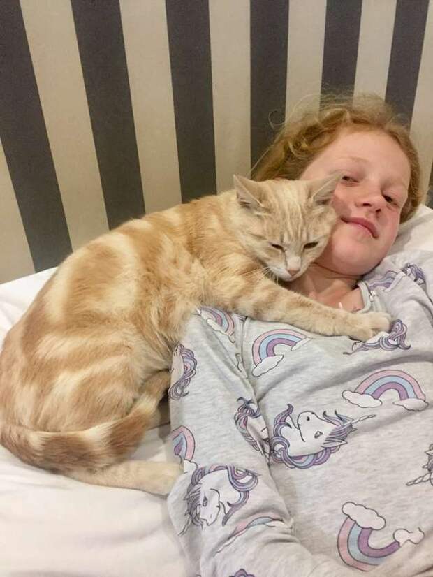 Кошка потеряла своих котят, но заменила маму осиротевшим щенкам Кошка потеряла своих котят, но заменила маму осиротевшим щенкам