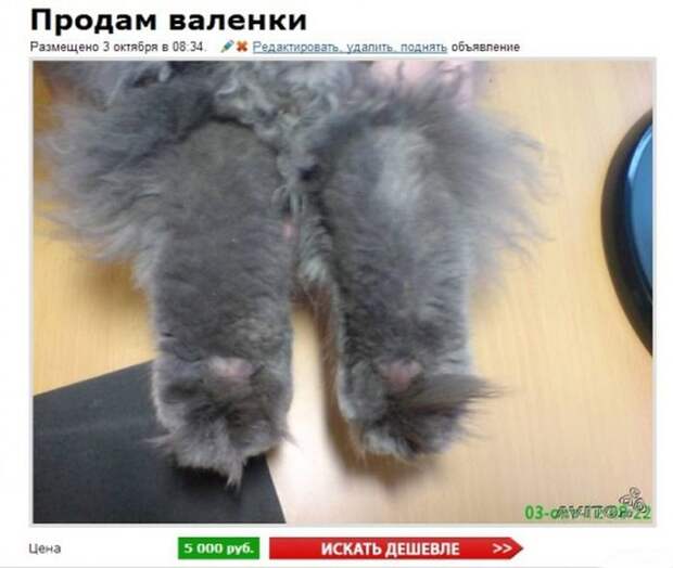 Гении рекламы на avito реклама, юмор, авито