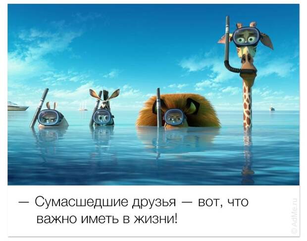 смешные цитаты из мультфильмов, фразы мультфильмы