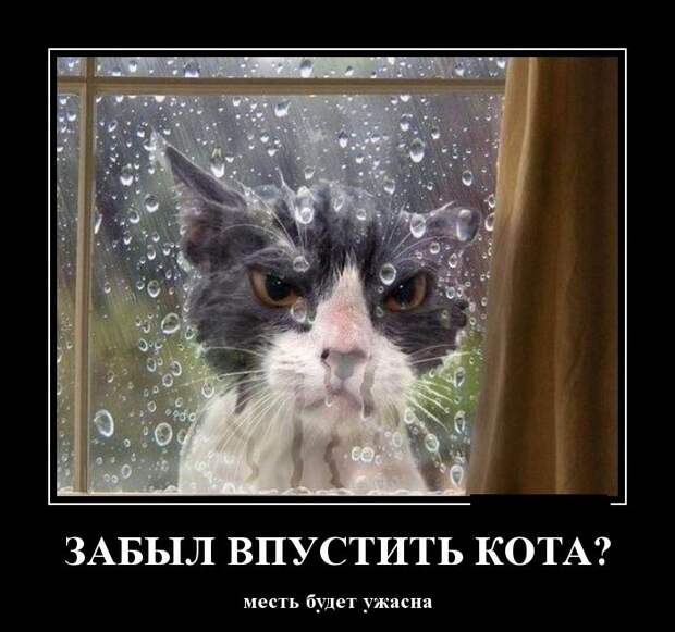 Демотиваторы демотиваторы, фото, юмор