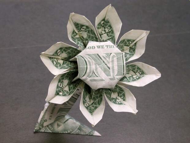 Dollar bill daisy flower | Flickr - Photo Sharing!