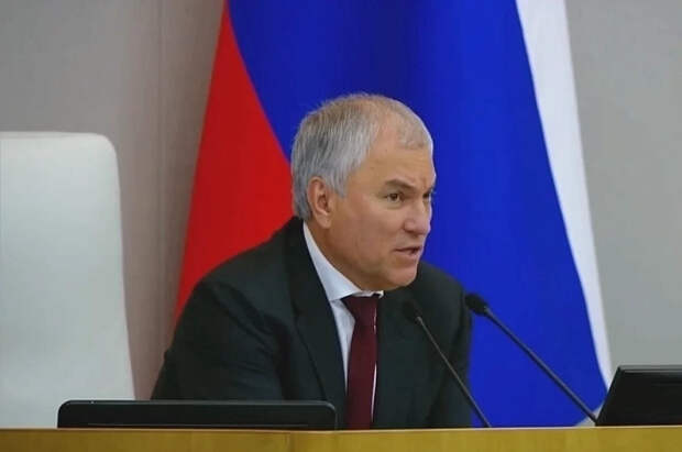 Володин призвал жителей Германии задуматься о самовыживании