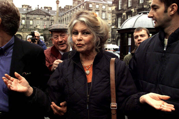 Стало известно о желании Брижит Бардо приехать в Россию