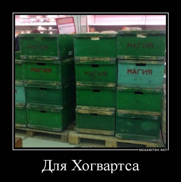 ДЕМОТИВАТОРЫ 13.09.2014