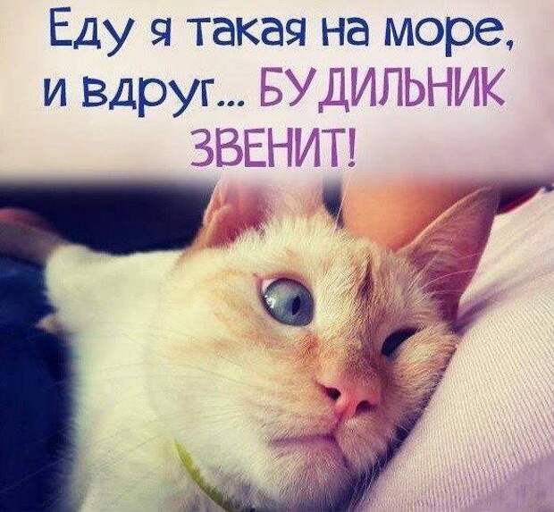 Ревнивая жена мужу, ищущему себе на работу секретаршу Ревнивая жена мужу, ищущему себе на работу секретаршу