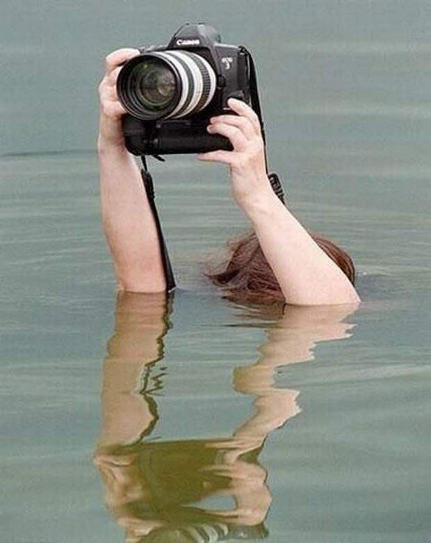 Приколы