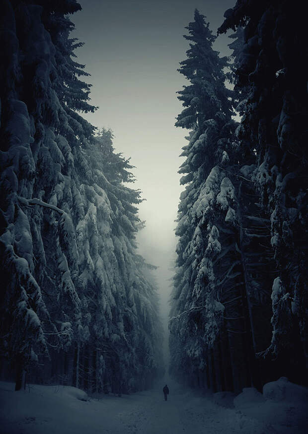Великолепные снежные пейзажи Gorgeous Winter Landscapes 1 Великолепные снежные пейзажи