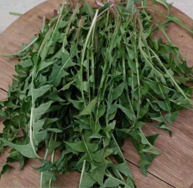 Screenshot_2025_07_21-11