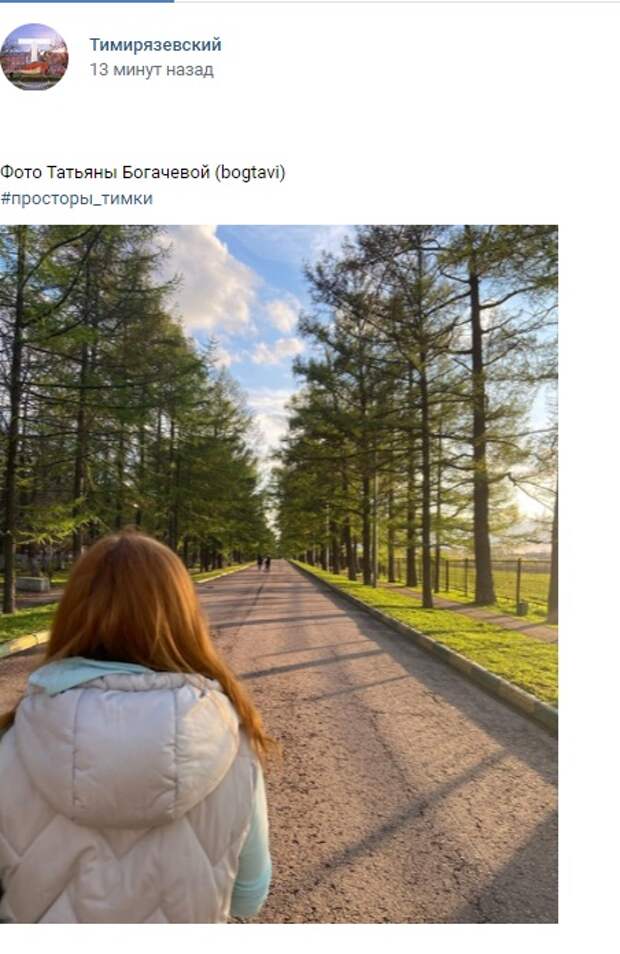 Фото дня: перспектива Лиственничной аллеи