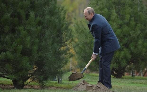 Надежда на Путина умирает последней. Кто если не он почистит снег у дома?