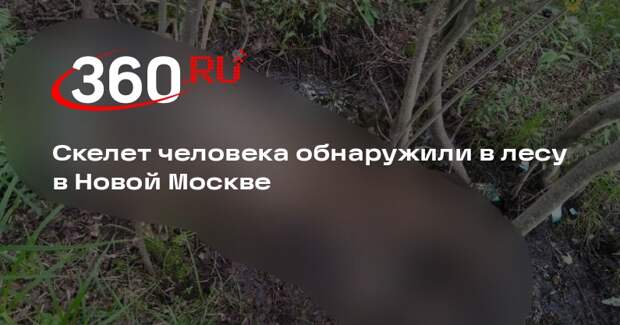 Прокуратура проконтролирует дело об обнаружении останков человека в Новой Москве