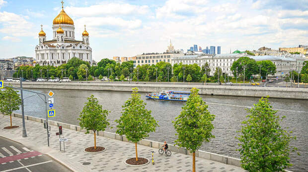Собянин утвердил планы озеленения столицы на 2024 год