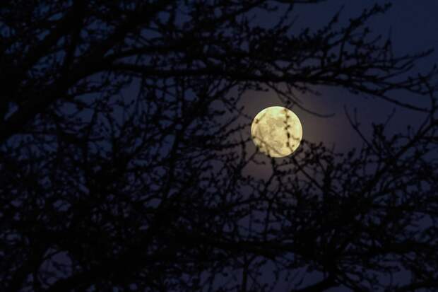 Оставшимся без света украинцам пообещали вернуть его к августу