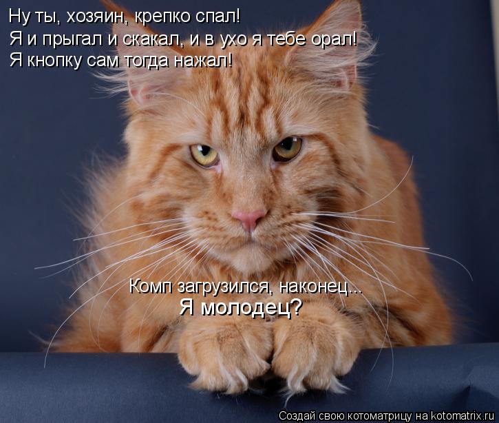 Котоматрица: Я и прыгал и скакал, и в ухо я тебе орал! Я кнопку сам тогда нажал! Комп загрузился, наконец... Я молодец? Ну ты, хозяин, крепко спал!