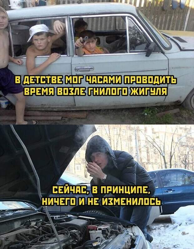Смешные и познавательные картинки