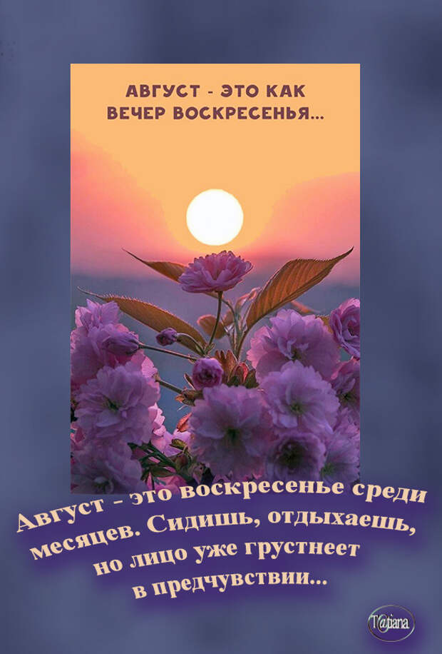 Августовский вечер стихи. Доброго августовского вечера. Август он как вечер воскресенья. Доброго августовского вечера. Августовские вечера природа.