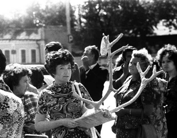 Подарок. СССР, Казань, 1974 год.