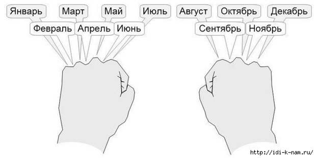 как без календаря узнать сколько дней в месяце