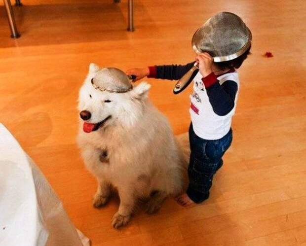 Прикольные картинки