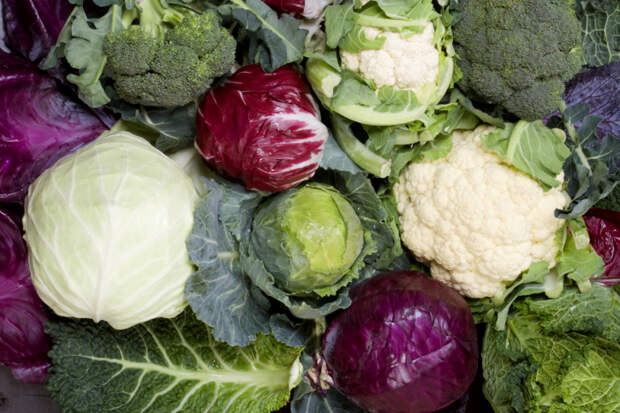 Полезные и вредные свойства овощей