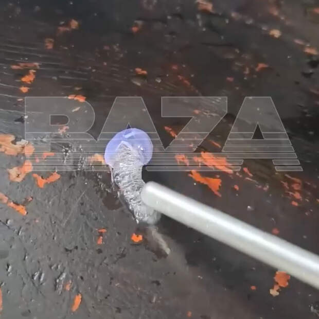 Полчища медуз на Мальдивах напали на российских туристов