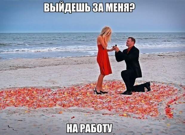 смешные картинки с надписями