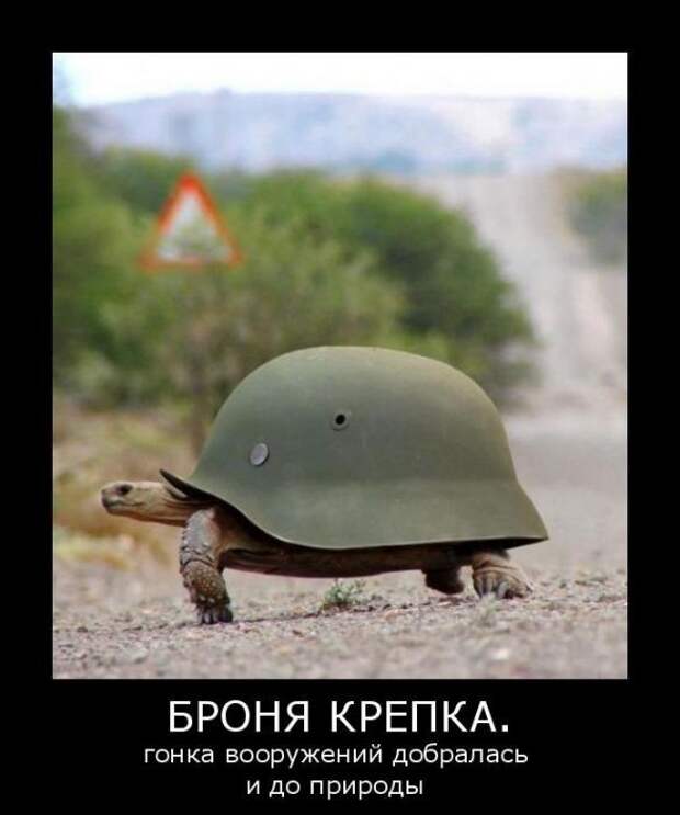Смешные картинки, демотиваторы дня