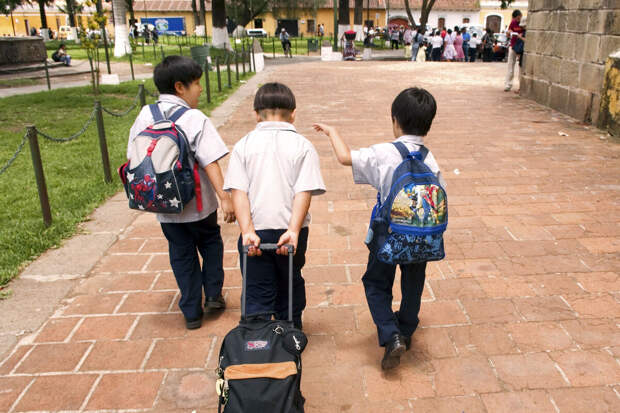 Музаев: 50% детей мигрантов сдают экзамен по русскому для поступления в школы РФ