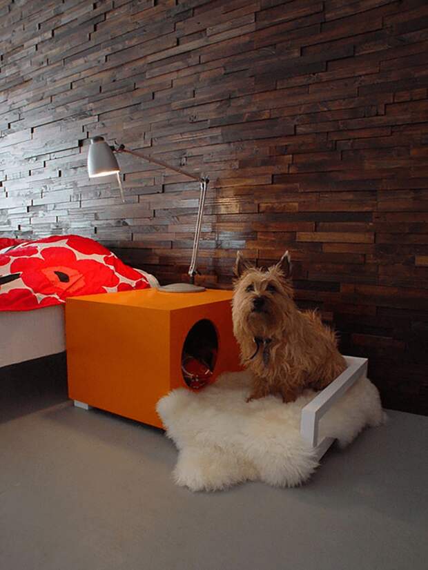doggy_nightstand_and_bed_combo