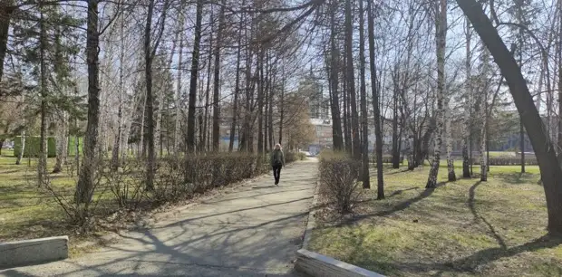 Новый фонтан, брусчатка и много зелени. Как может преобразиться сквер на площади Октября в Барнауле