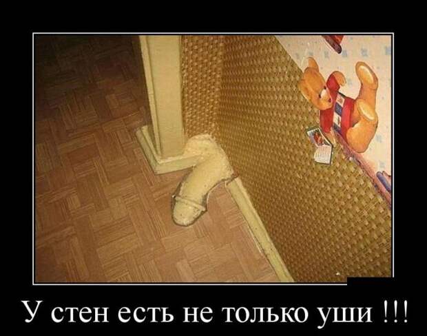 Демотиваторы бревно, демотиваторы, юмор