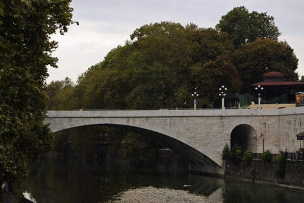 Кубанец украл лес почти на миллион рублей. Его ждёт долгий срок