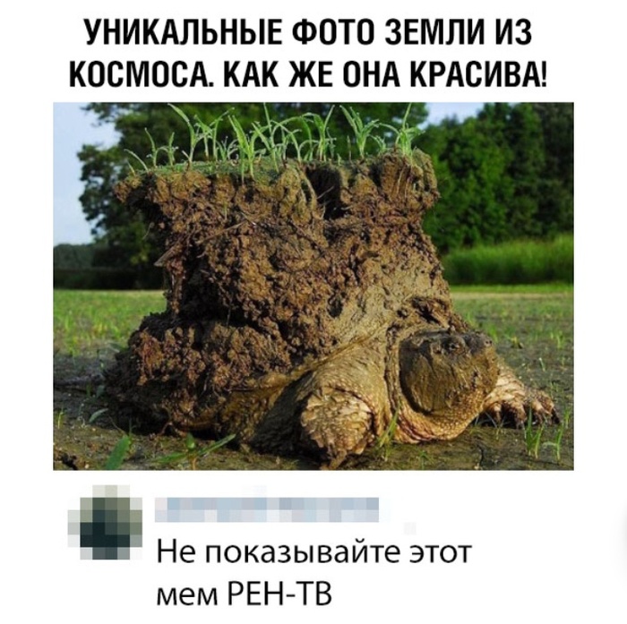 Красота Красота