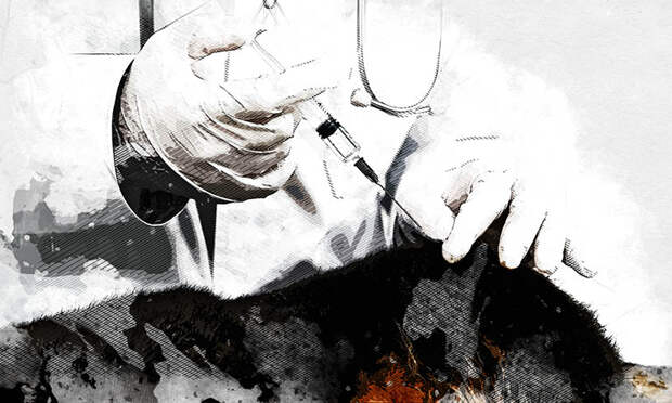 Орловцам в копеечку влетает лечение домашних животных