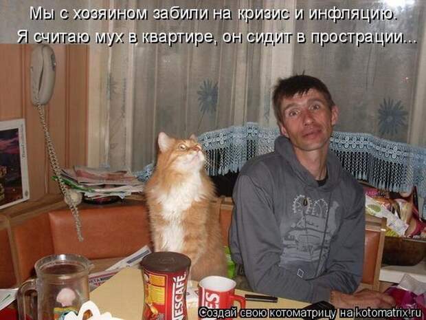 Лучшие котоматрицы недели (50 фото)